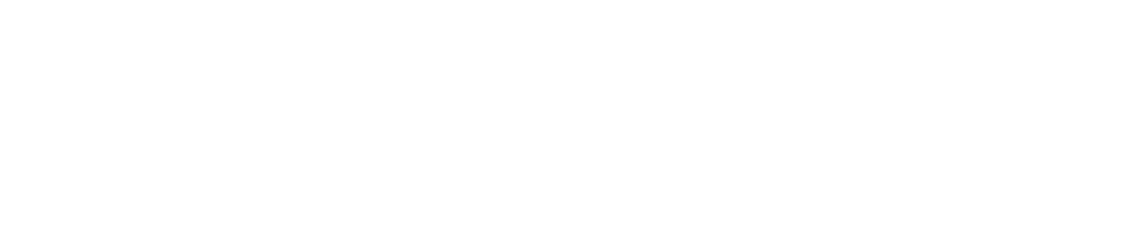 chainspot icon
